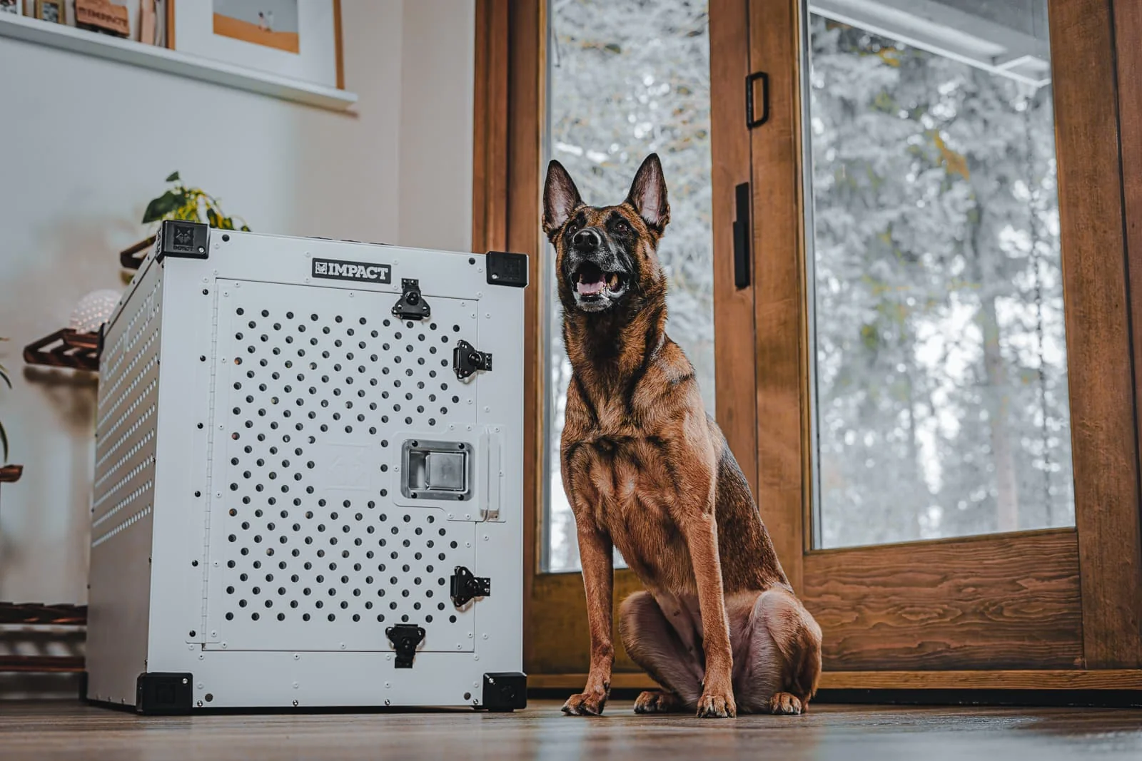 Impact Dog Crate 42-inch