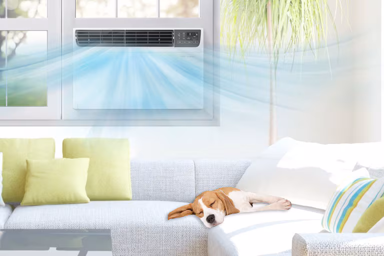 LG 8,000 BTU Window AC